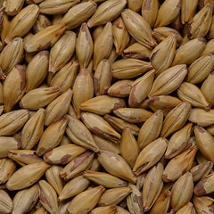 Castle Malting Château Cara Honey