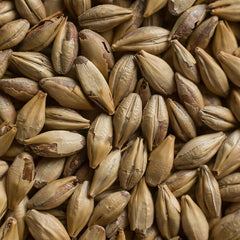 Castle Malting Château Cara Ruby