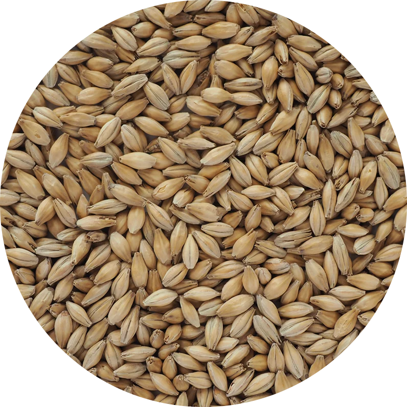 Crisp Chevalier Heritage Malt