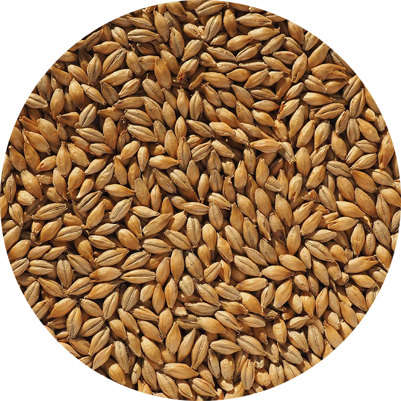 Crisp Best Pale Ale Malt