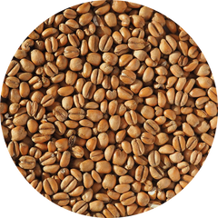 Crisp Torrefied Wheat
