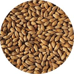 Crisp Vienna Malt